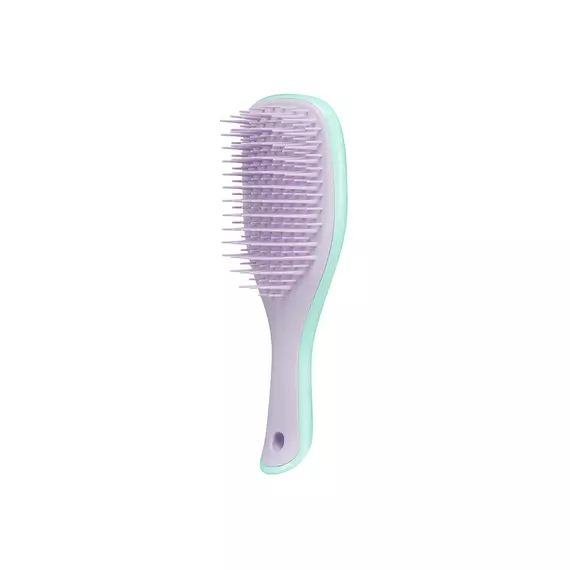 Tangle Teezer / Щітка для волосся / The Wet Detangler Mini Wisteria Leaf