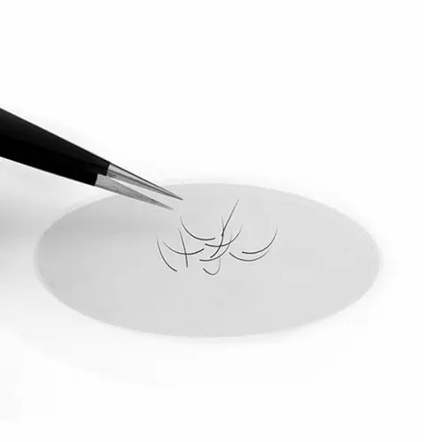 Kodi / Силіконовий піднос для вій