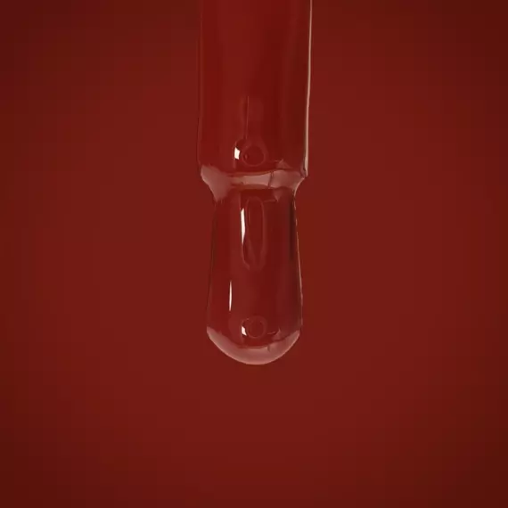 Nika Zemlyanikina / Gel Polish #109 / темно-червоний / 6 мл