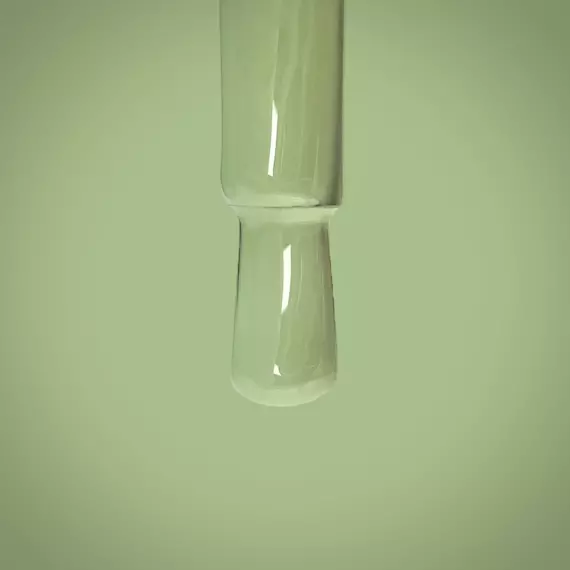 Nika Zemlyanikina / Gel Polish #78 / ніжно-салатовий / 6 мл
